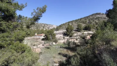 Chalet in Petrer photo 5
