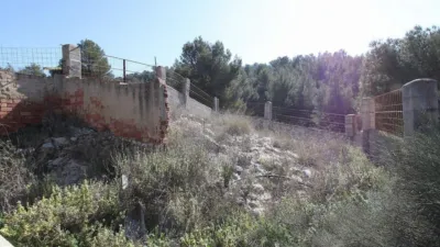 Chalet in Petrer photo 12