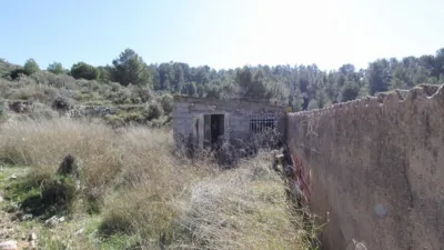 Chalet in Petrer photo 16