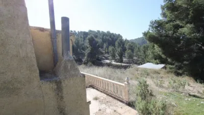 Chalet in Petrer photo 18