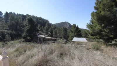 Chalet in Petrer photo 19