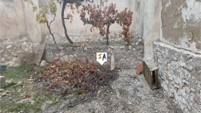 House in Luque photo 3