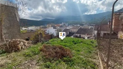 House in Luque photo 13
