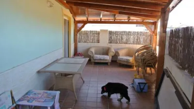 Rustic Finca in Cañada de La Lena photo 15