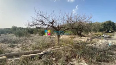 Finca rústica en Urrácal photo 12