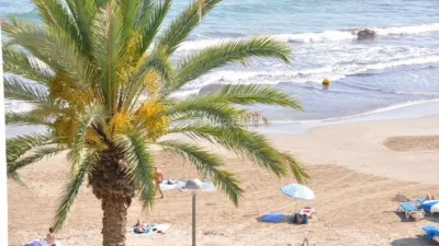 Apartment in Sitges photo 5