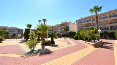 Pis – Orihuela, Urbanización Las Mimosas - La Chismosa, Urbanización la Florida - Vista 2