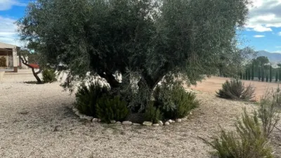 Chalet en Macisvenda photo 36