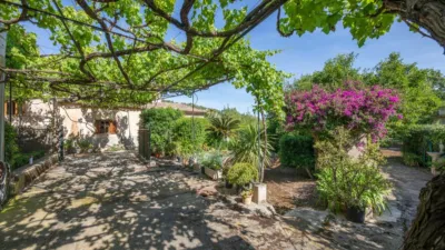 House in Port de Sóller photo 19