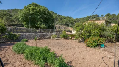 House in Port de Sóller photo 27