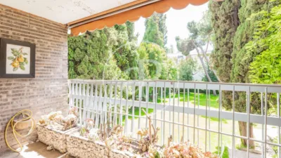 Apartment in El Viso photo 5