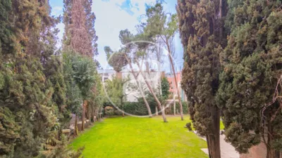Apartment in El Viso photo 53