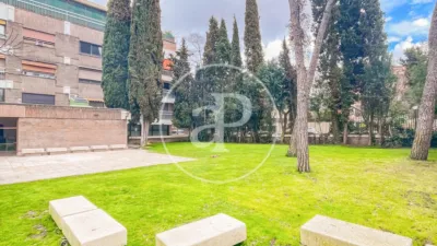 Apartment in El Viso photo 55