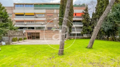 Apartment in El Viso photo 56