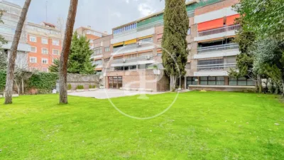 Apartment in El Viso photo 57