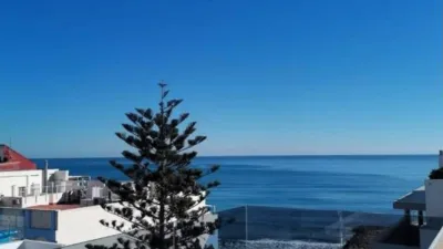 Pis - Vista 3