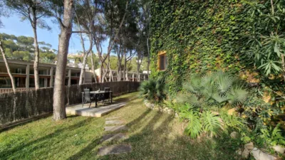 Casa en alquiler en Costa Calma, Costa Calma (Pájara) de 4.000 €<span>/mes</span>