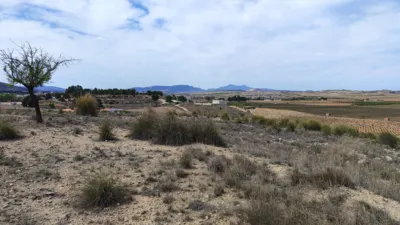 Terreno en venta en El Pinós - Pinoso - Vista 3