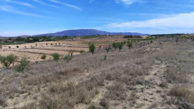 Terreno en venta en El Pinós - Pinoso - Vista 4