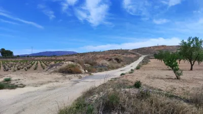 Terreno en venta en El Pinós - Pinoso - Más