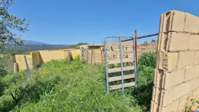 Rustic Finca in Jayena photo 15