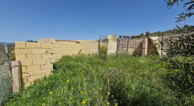 Rustic Finca in Jayena photo 16