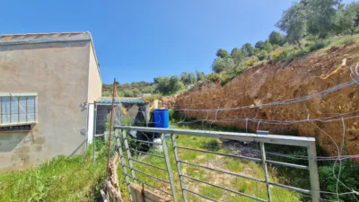Rustic Finca in Jayena photo 17