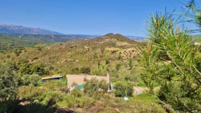 Rustic Finca in Jayena photo 18