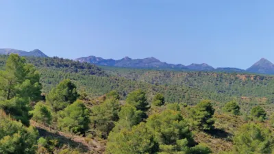 Rustic Finca in Jayena photo 20