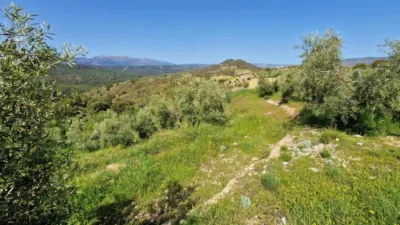Rustic Finca in Jayena photo 21