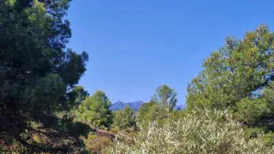 Rustic Finca in Jayena photo 23