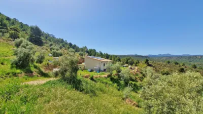 Rustic Finca in Jayena photo 24