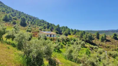 Rustic Finca in Jayena photo 25
