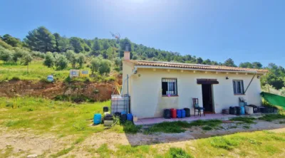 Rustic Finca in Jayena photo 5