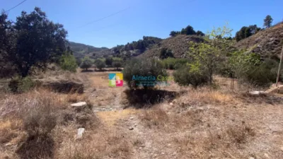 Rustic finca in Purchena photo 33