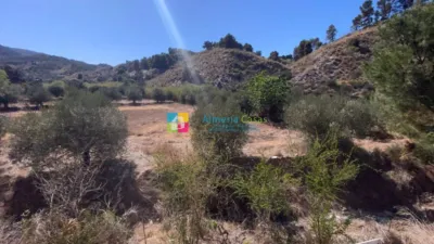 Rustic finca in Purchena photo 34