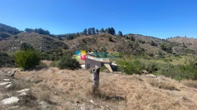 Rustic finca in Purchena photo 36