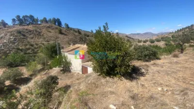 Rustic finca in Purchena photo 3