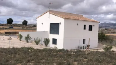 House in El Pinós - Pinoso photo 18