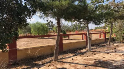 Rustic farm in Los Montesinos photo 42