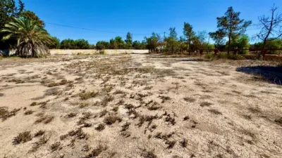 Rustic farm in Los Montesinos photo 43