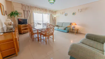 Apartment in Los Arenales del Sol photo 14