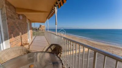 Apartment in Los Arenales del Sol photo 15