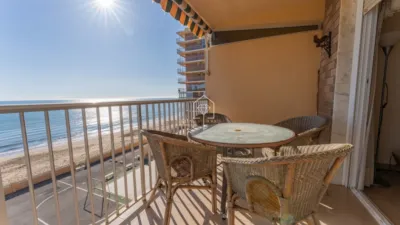 Apartment in Los Arenales del Sol photo 16