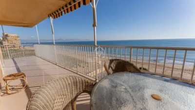 Apartment in Los Arenales del Sol photo 20