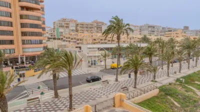 Apartment in Los Arenales del Sol photo 31