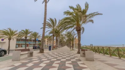 Apartment in Los Arenales del Sol photo 39