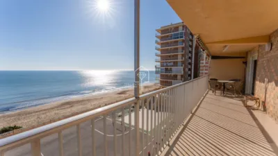 Apartment in Los Arenales del Sol photo 3