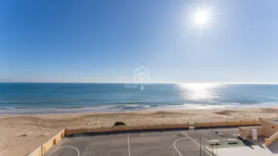 Apartment in Los Arenales del Sol photo 42