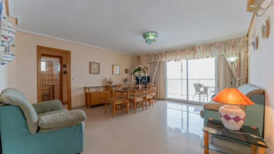Apartment in Los Arenales del Sol photo 5